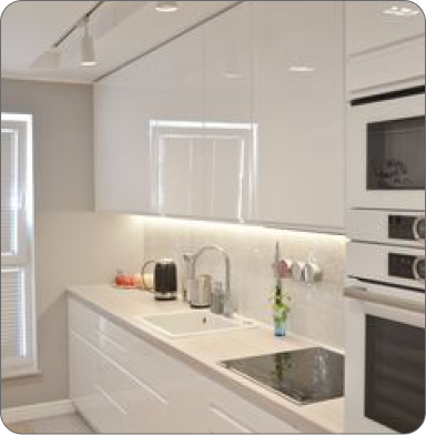 Comfortable office with plants, wooden desk, and two black chairs